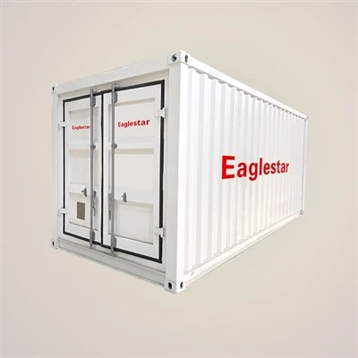 Petrol Gas Station Container